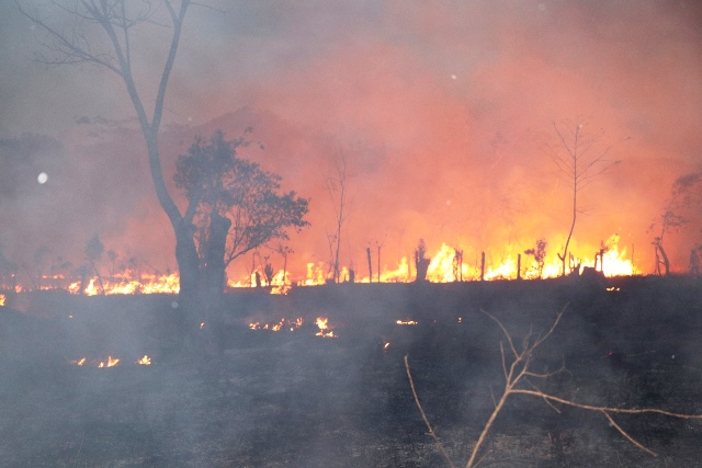 El fuego destruye los bosques de Petén. (Foto Prensa Libre: Rigoberto Escobar)