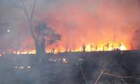 El fuego destruye los bosques de Petén. (Foto Prensa Libre: Rigoberto Escobar)