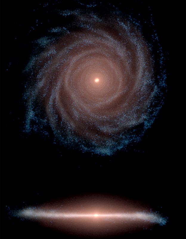 "Muestra la distribución estelar de la luz de las galaxias -una vista de pájaro y una vista de borde-, mostrando muy bien que podemos hacer discos extendidos de estrellas, con estrellas más viejas y más rojas cerca del centro y estrellas más jóvenes y azules en las regiones del exterior", dice Grand. (HITS).