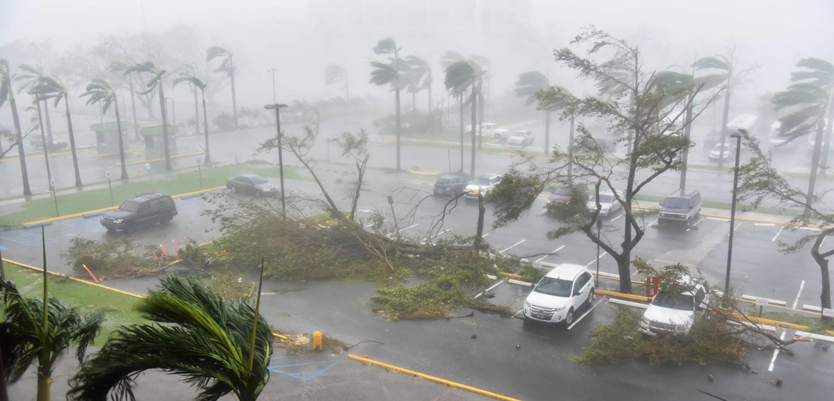 Los árboles son derribados en un estacionamiento en el Coliseo Roberto Clemente en San Juan, Puerto Rico, durante el paso del huracán María. (Foto Prensa Libre: AFP)