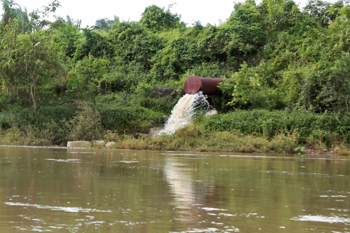 Una tubería de tamaño industrial que sale de los terrenos donde se cultiva palma africana vierte agua gris y verde, con fétido olor, al río La Pasión.