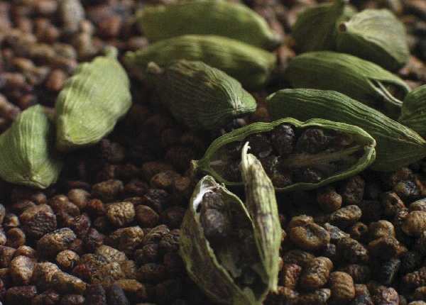 El cardamomo producido en Guatemala se exporta a diversos países como a Estados Unidos, a países de Europa y del Medio Oriente. (Foto, Prensa Libre: Hemeroteca PL)