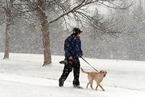 Varias localidades de EE. UU. son azotadas por el frío. (Foto Prensa Libre: AP)