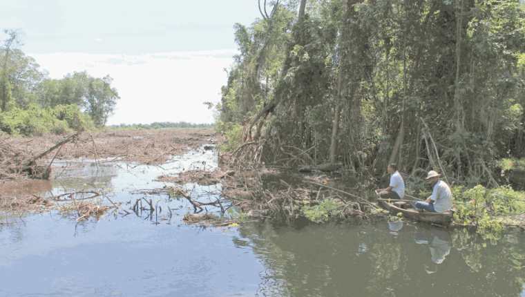 Manglares de Chiquimulilla, Santa Rosa, se encuentran en peligro debido a la contaminación y deforestación. (Foto Prensa Libre: HemerotecaPL)