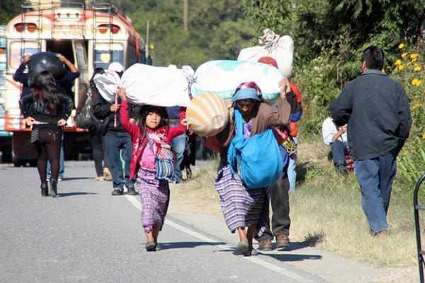 Niños en Huehuetenango ayudan a sus padres en corte de café, para ayudar en economía de su hogar. (Foto Prensa Libre: Mike Castillo)
