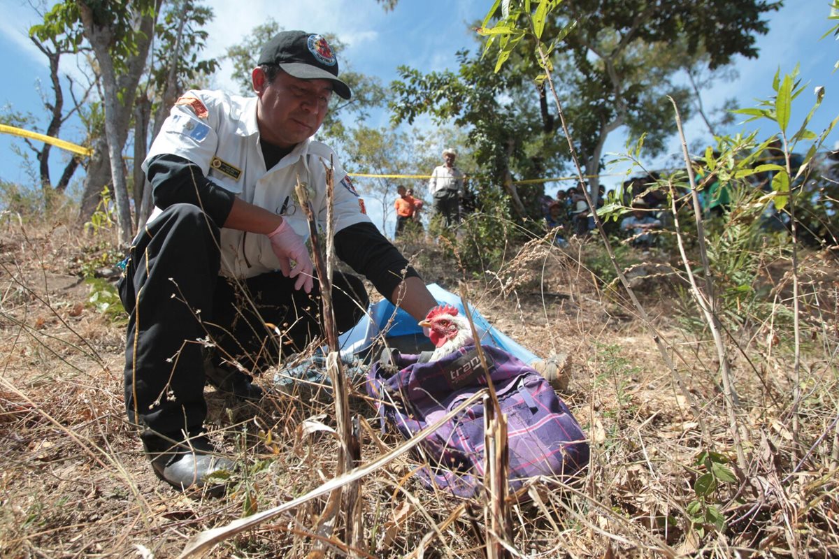 Un Bombero Voluntario examina el cuerpo de la víctima, entre matorrales del caserío Patanil. (Foto Prensa Libre: CVB)