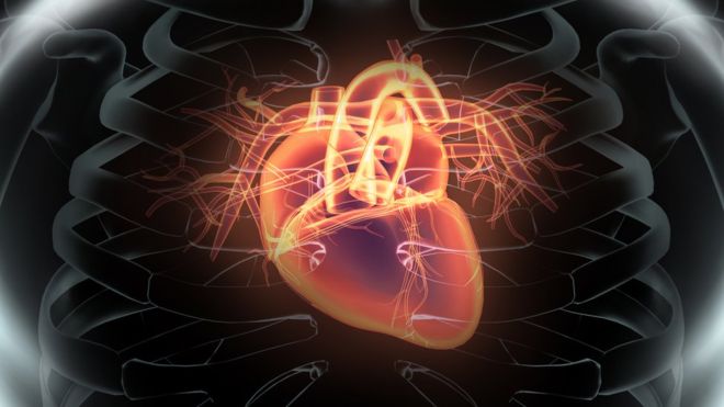 El estudio concluyó que los hombres con niveles más altos de troponina en la sangre tenían mayor probabilidad de sufrir un ataque al corazón. (Foto, Thinkstock)