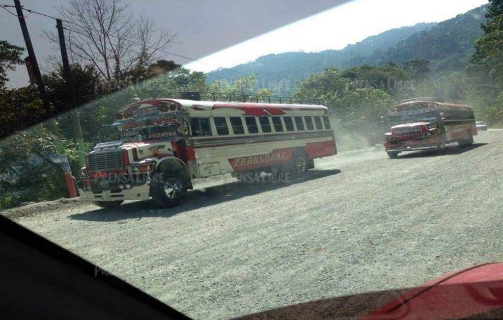 Dos de los buses que fueron vistos por pilotos en Alta Verapaz. (Foto Prensa Libre: Eduardo Sam)