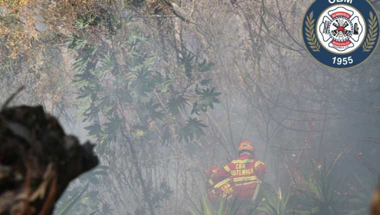 Los socorristas combatieron por más de una hora un incendio forestal registrado en la zona 13 capitalina. (Foto Prensa Libre: Bomberos Municipales)