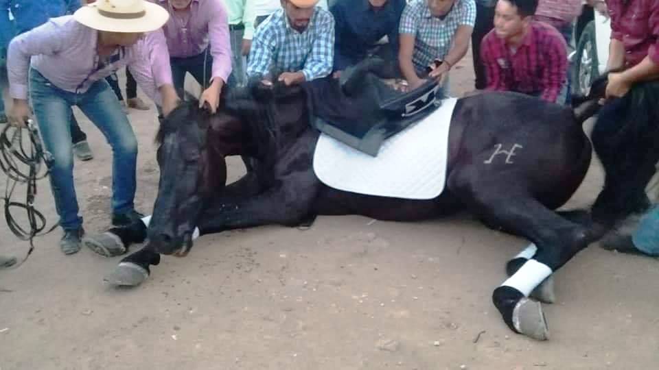 Jinetes intentaron ayudar al equino pero sus esfuerzos fueron en vano. (Foto Prensa Libre: Mario Morales)