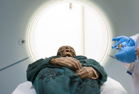 Exposición de momias.