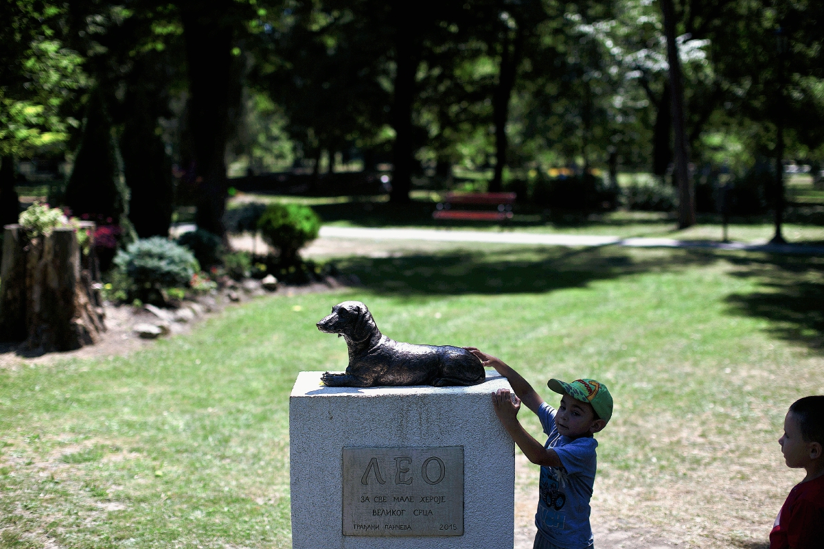 Un niño se acerca al monumento erigido a Leo y lo toca. La mascota es recordada por su valentía al haber defendido a una niña de 10 años. (Foto Prensa Libre: AP).
