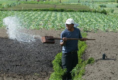 El agua, aunque se desconoce el peso monetario que tiene, mueve la economía del país. (Foto Prensa Libre: Erlie Castillo)