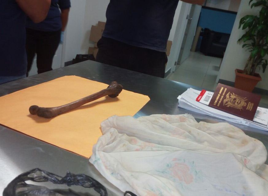 La policía encontró el hueso en el equipaje de mano del ciudadano ecuatoriano. (Foto Prensa Libre: PNC)