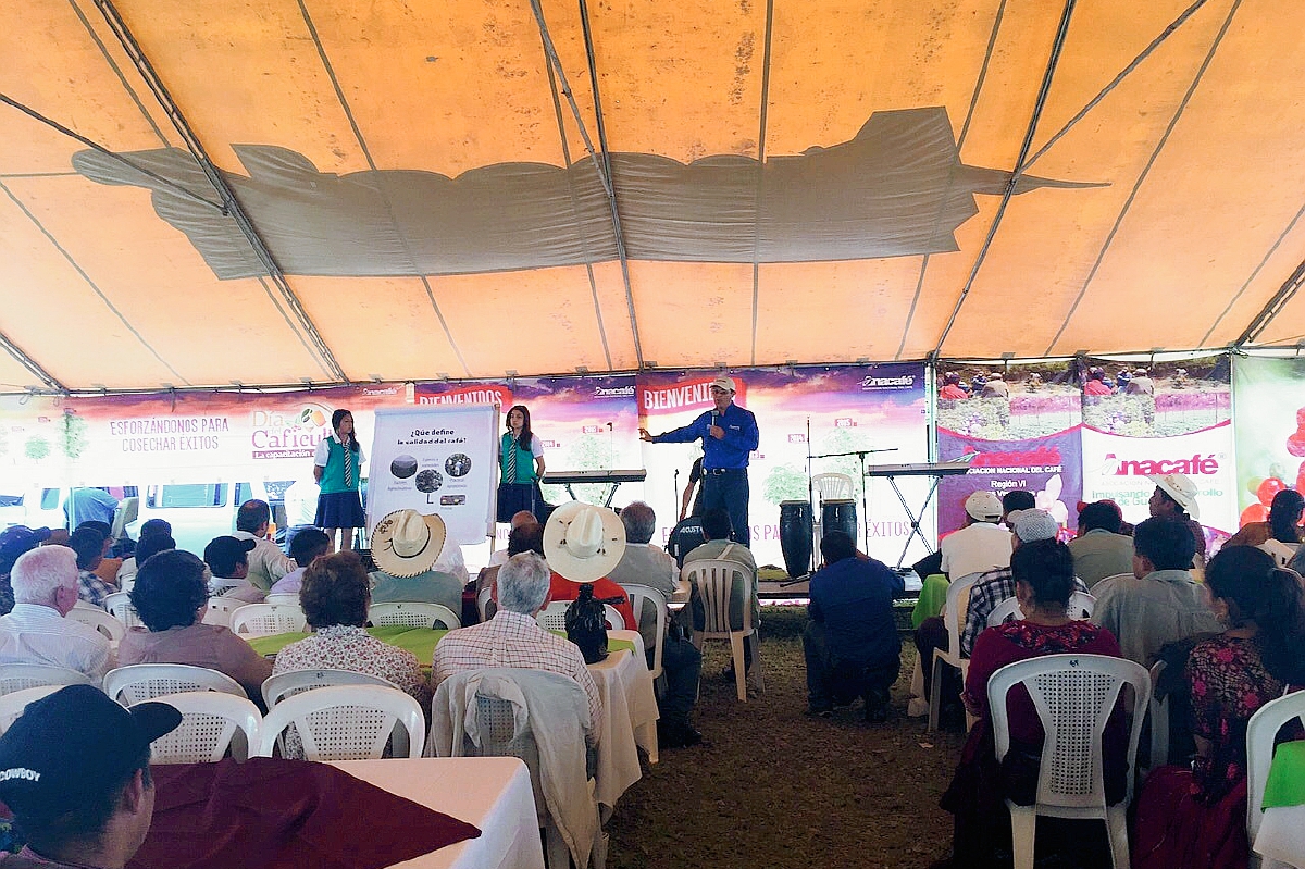 La región VI  celebró el día del caficultor exhortando a los productores a seguir cosechando café de calidad y valor agregado. (Foto Prensa Libre: Cortesía Anacafé).