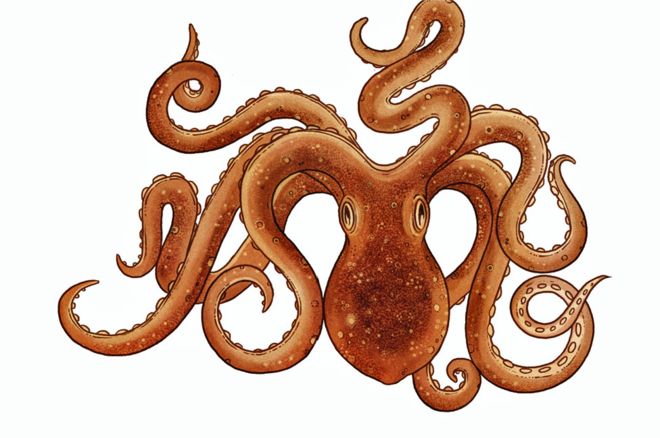 Ilustración de Katie Scott; cortesía de la editorial Polygon.