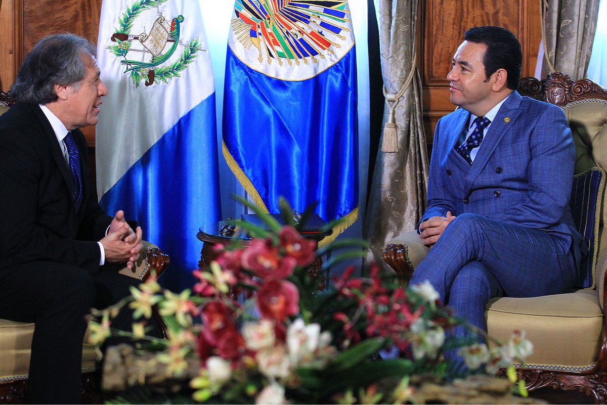 Luis Almagro y Jimmy Morales se reunieron en privado en la oficina presidencial del Palacio Nacional de la Cultura. (Foto Prensa Libre: Presidencia)