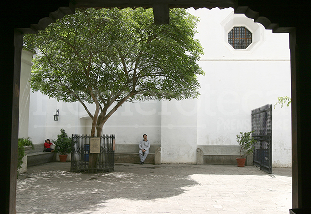 Árbol de Esquisúchil sembrado en la entrada a la tumba del Hermano Pedro en Antigua Guatemala. (Foto: Hemeroteca PL)
