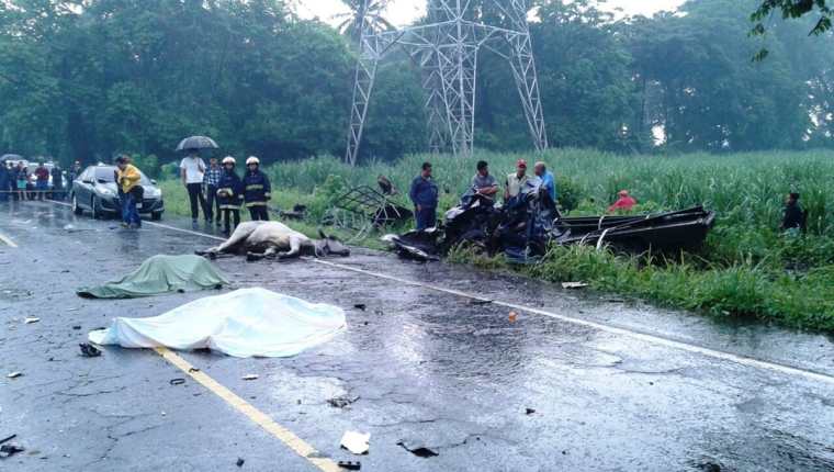 Transportar un ganado pudo haber sido la causa del accidente del picop, que cobró la vida de tres personas de una familia. (Foto Prensa Libre: Carlos Paredes)