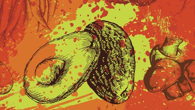 Los aguacates debían haber dejado de existir cuando desaparecieron los animales grandes que podían comérselos, pero de alguna manera sobrevivieron. (Foto Prensa Libre: Getty Images)