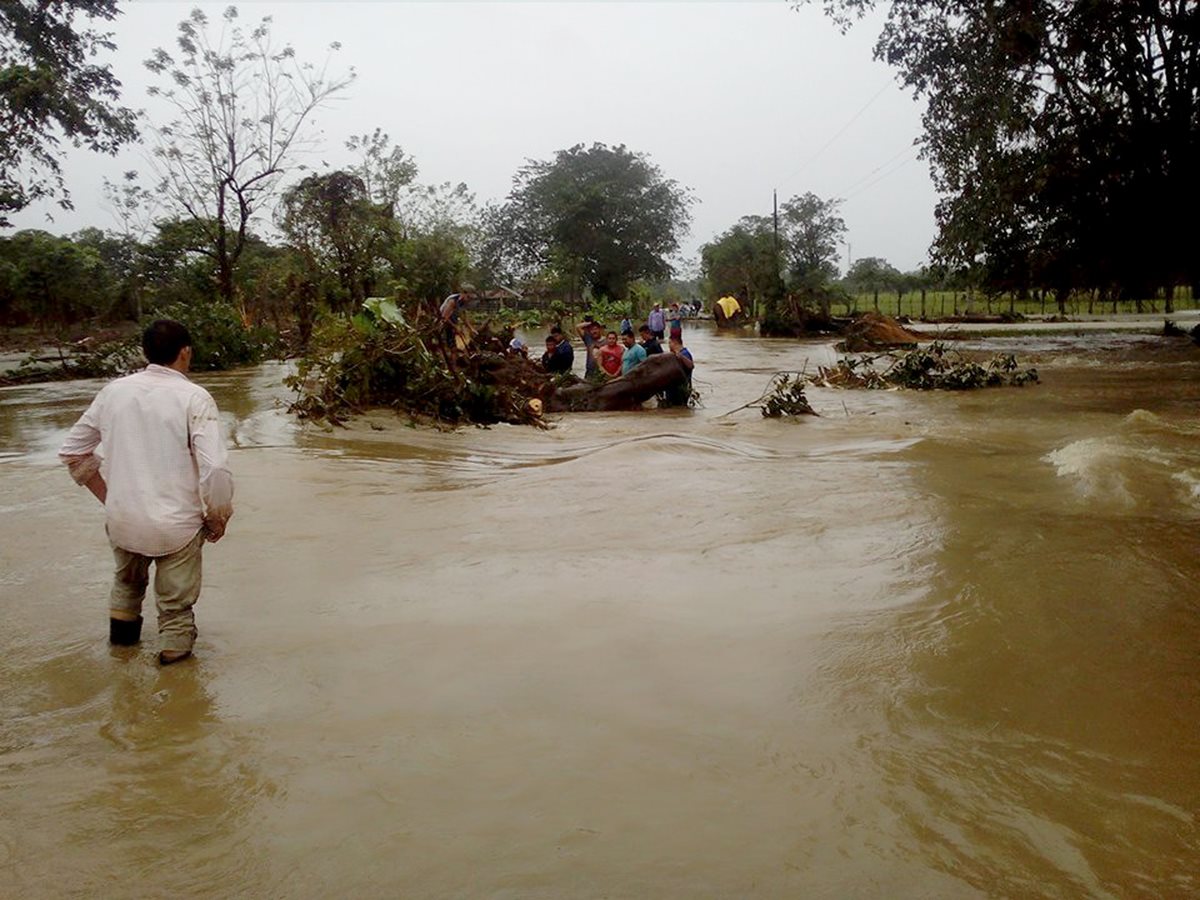 Vecinos de Champas Corrientes y Cacao Frontera, Puerto Barrios, Izabal, retiran árboles arrastrados por inundaciones. (Foto Prensa Libre: Dony Stewart)