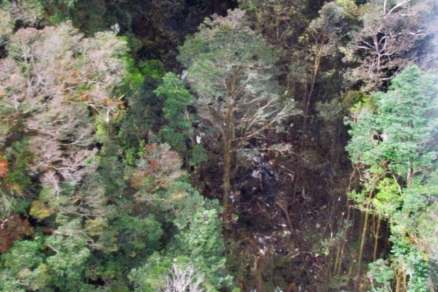 Los restos del avión siniestrado se han encontrado en una zona boscosa de la isla de Papúa. (Foto Prensa Libre: AP)
