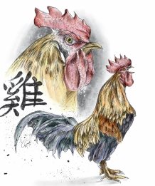 El año chino del gallo traerá muchas sorpresas. (Foto Prensa Libre: Esteban Arreola)