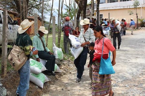 Campesinos reciben fertilizantes en Santa Cruz El Chol, Baja Verapaz. (Foto Prensa Libre: Carlos Grave)<br _mce_bogus="1"/>