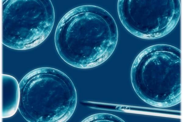 Las células madre del cordón umbilical pueden ayudar a pacientes con leucemia