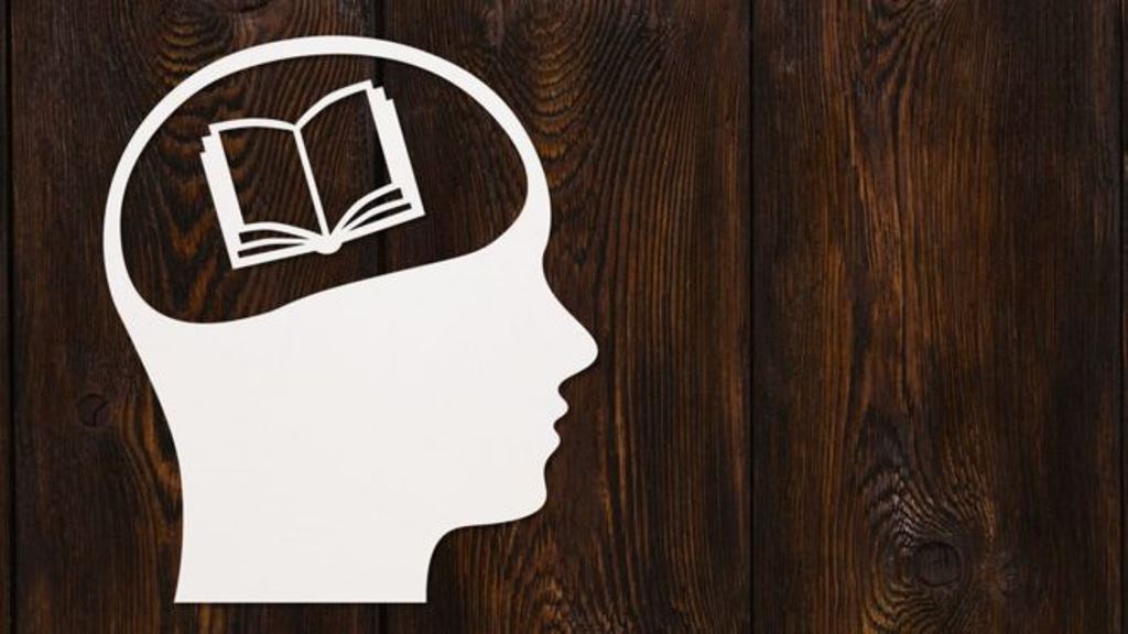 ¿Cómo evolucionó el cerebro para poder leer? (THINKSTOCK)