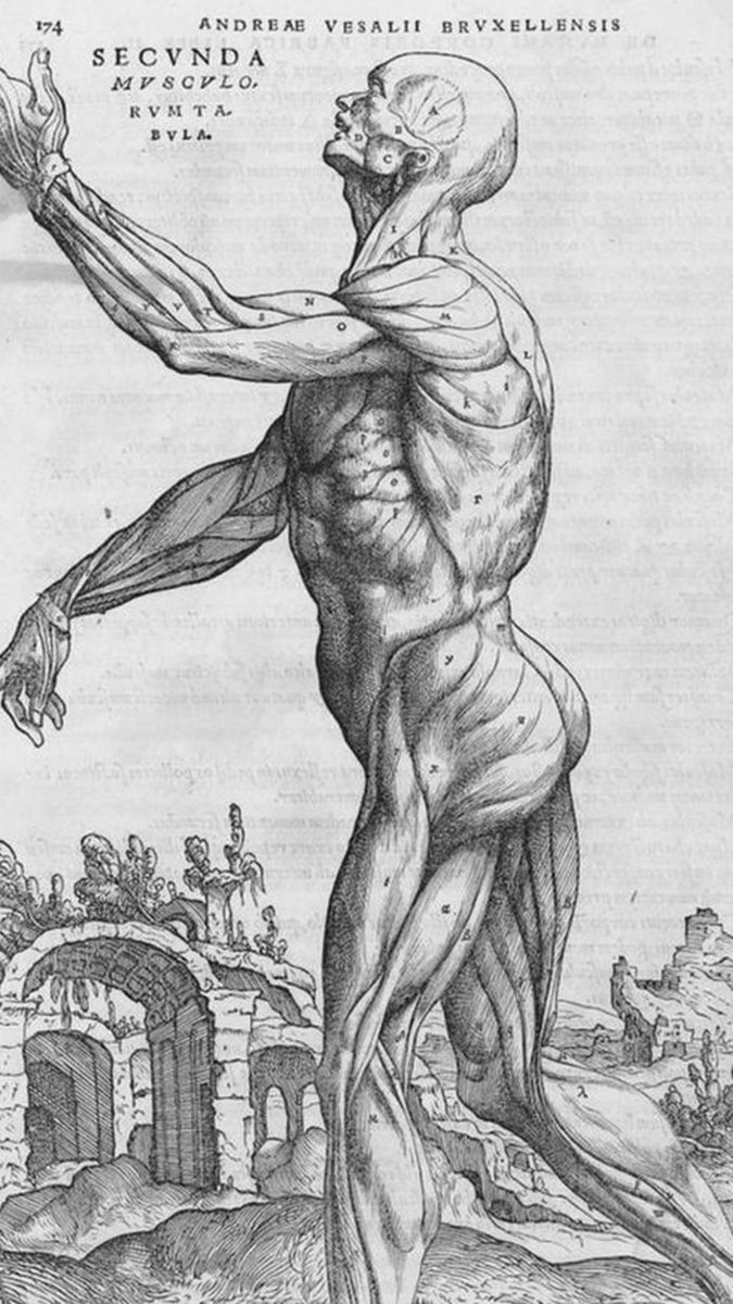 Un dibujo de un libro de anatomía de 1543 muestra al cuerpo humano frente a unas ruinas, que eran vistas en ese entonces como un signo de decadencia. Crédito foto: Wikipedia