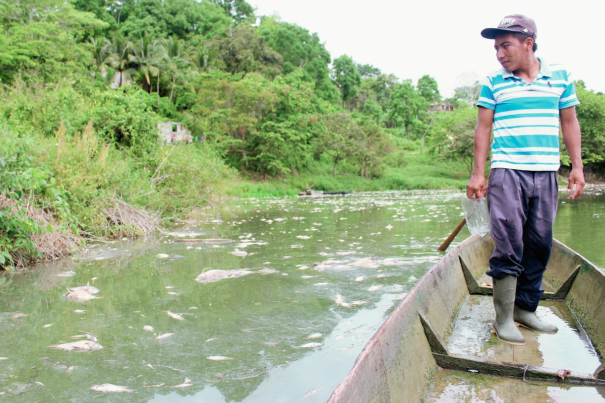 Pobladores han pedido que se investigue qué originó el desastre en el río La Pasión, Petén.