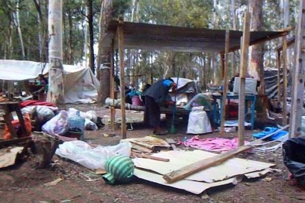 <br _mce_bogus="1"/>