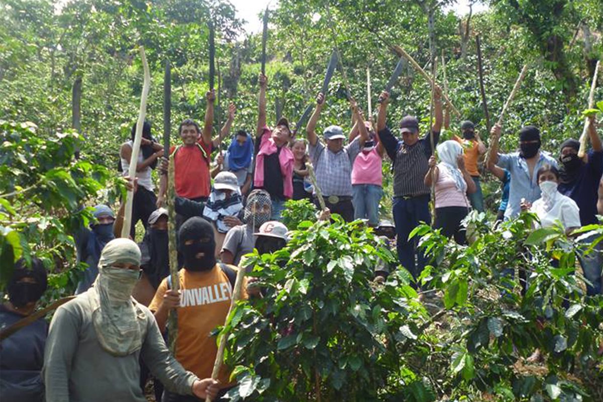 El grupo de invasores aparentemente es originario de Tajumulco, Tacaná y El Tumbador, San Marcos. (Foto Prensa Libre: Whitmer Barrera)