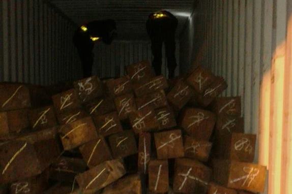 Un agente de la Dipafront revisa contenedor con rosul decomisado en Portuaria Quetzal, Escuintla. (Foto Prensa Libre: PNC)