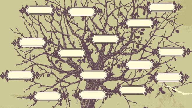 Los autores establecieron árboles genealógicos para conectar a todos los matemáticos en base al vínculo entre asesores académicos y alumnos. THINKSTOCK