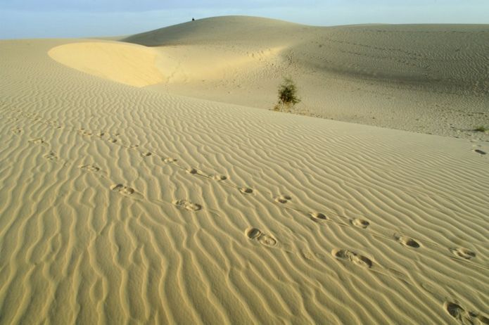 El Sahara se llenaría de vegetación como consecuencia de un cambio en la rotación de la Tierra. (Getty Images).