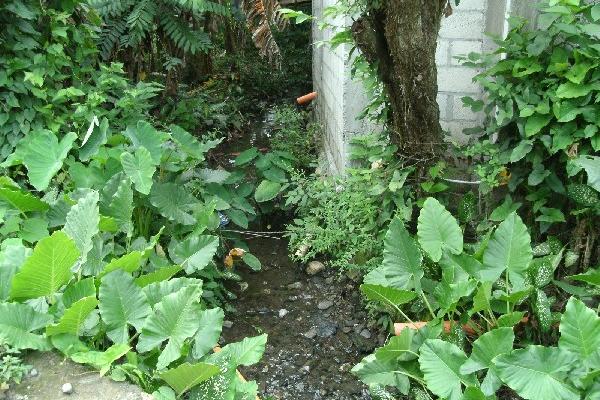 Uno de los tramos rotos de la tubería del sistema de agua de la aldea Palmilla Vega Grande