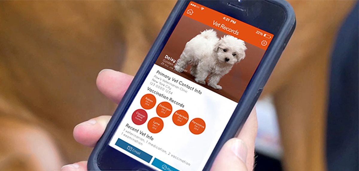 Con este sistema también llamado “correa virtual”, una persona puede conocer la localización geográfica de su perro, así como monitorizar su actividad. (Foto Prensa Libre: EFE)