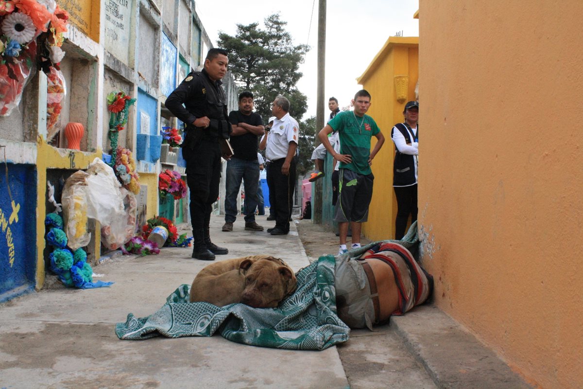 Un agente de la Policía Nacional Civil y vecinos observan el perro que permanece junto al cadáver de su dueño. (Foto Prensa Libre: Héctor Contreras)