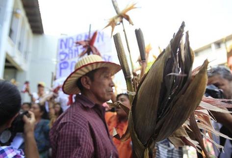 El Consejo del Pueblo Maya pide que la Ley  Monsanto sea derogada. (Foto Prensa Libre: Erick Ávila)