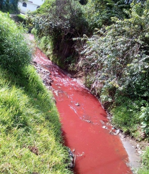 Vecinos de la zona 8 de Quetzaltenango denunciaron la contaminación del río Seco. (Foto Prensa Libre: Carlos Ventura)