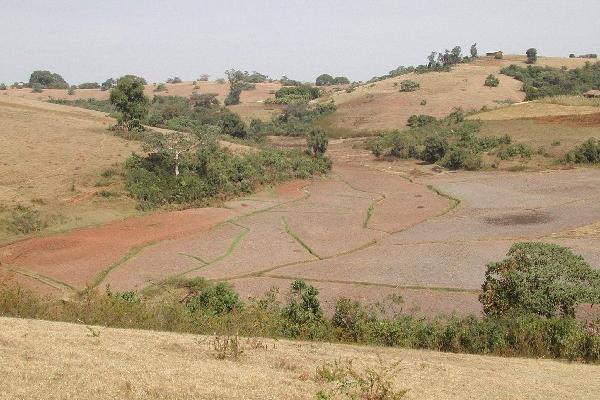 La ONU se ha visto preocupada por la deserfificación en el mundo. (Foto Prensa Libre: Archivo)