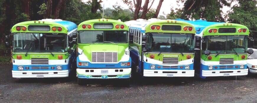 Cuatro autobuses restaurados se encuentran estacionados en la 9a. avenida A, 12 calle, zona 1 de Mixco. (Foto Prensa Libre: Cortesía).