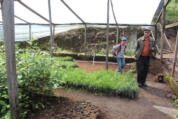 Vivero  donde fueron cultivados los pilones que serán trasplantados a sitios deforestados.
