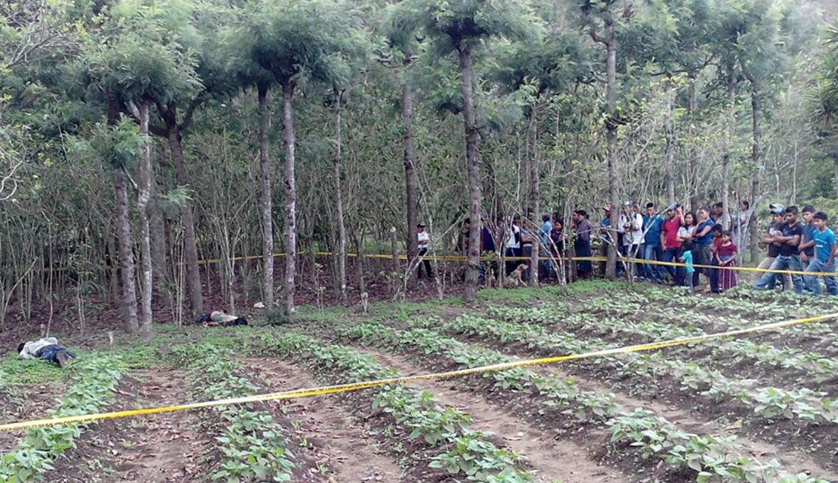 Los cadáveres se encontraban entre unos cafetales en el cantón Paguacal de la aldea Cerro de Oro, de Santiago Atitlán, Sololá. (Foto Prensa Libre: Ángel Julajuj)