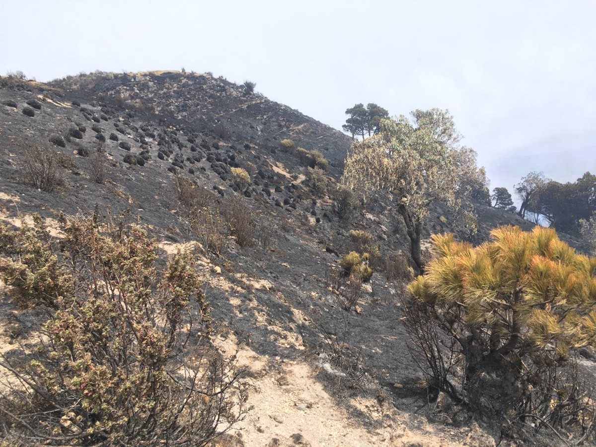 Unas 179 hectáreas fueron devastadas por el incendio forestal en el Volcán Santa María. (Foto Prensa Libre: Hemeroteca PL)