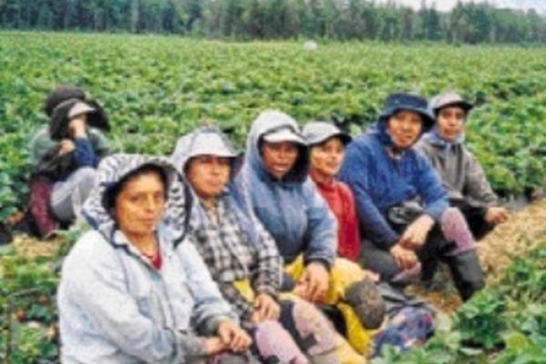 Afectados  aseguran que han pagado por puestos que no se concretan.