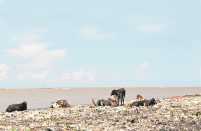 En la desembocadura del río Motagua, en Punta de Manabique, Izabal, se acumulan toneladas de basura. (Foto Prensa Libre: Dony Stewart)