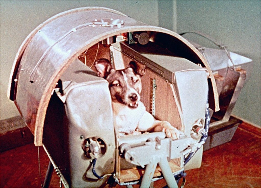 El día que la perra Laika conquistó el espacio Prensa Libre